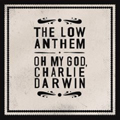 The Low Anthem  | Oh My God Charlie Darwin 