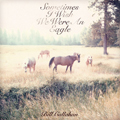 Bill Callahan | Sometimes I Wish We Were An Eagle