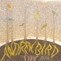 Andrew Bird