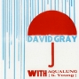 David Gray