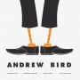Andrew Bird 