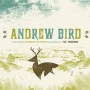 Andrew Bird