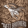 The Avett Brothers