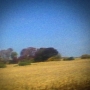 16. Sun Kil Moon - Benji