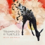 13. Trampled By Turtles - Wild Animals
