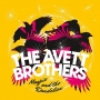 20. The Avett Brothers – Magpie and the Dandelion