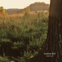 Andrew Bird – Noble Beasts