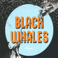 Black Whales – Origins