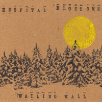 The Wailing Wall – Hospital Blossoms