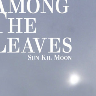 Sun Kil Moon – Among The Leaves