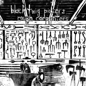 The Black Twig Pickers - Rough Carpenters