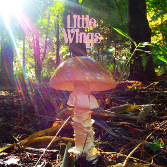 Little Wings – Last