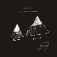 Sam Amidon – The Following Mountain