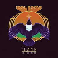 Mdou Moctar - Ilana the Creator