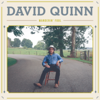 David Quinn - Wanderin’ Fool