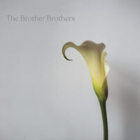 The Brother Brothers – Calla Lily